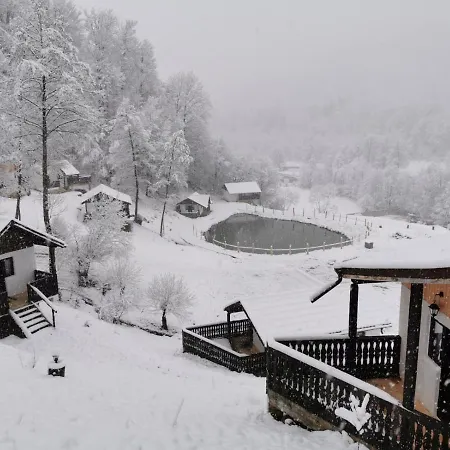 Guest house Satu Muscelean Albestii de Muscel
