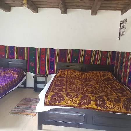 Guest house Satu Muscelean *